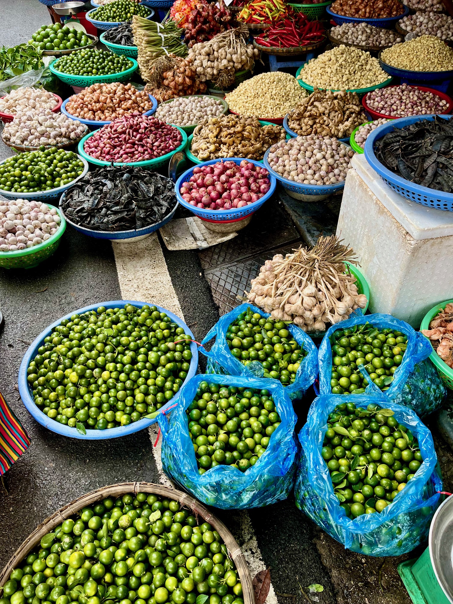 First Impressions of Hanoi: Sensory Overload in the Best Way Possible – May 1, 2025